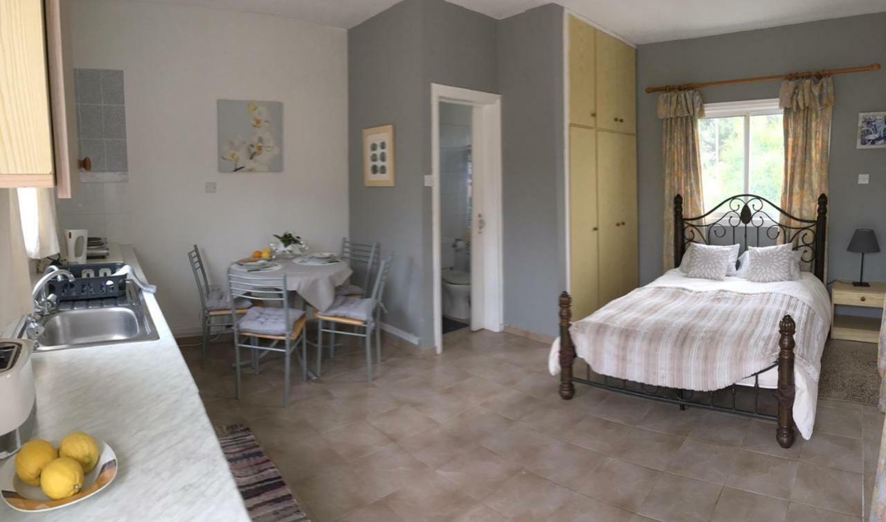 Detached Cozy Studio Paralimni Exterior foto